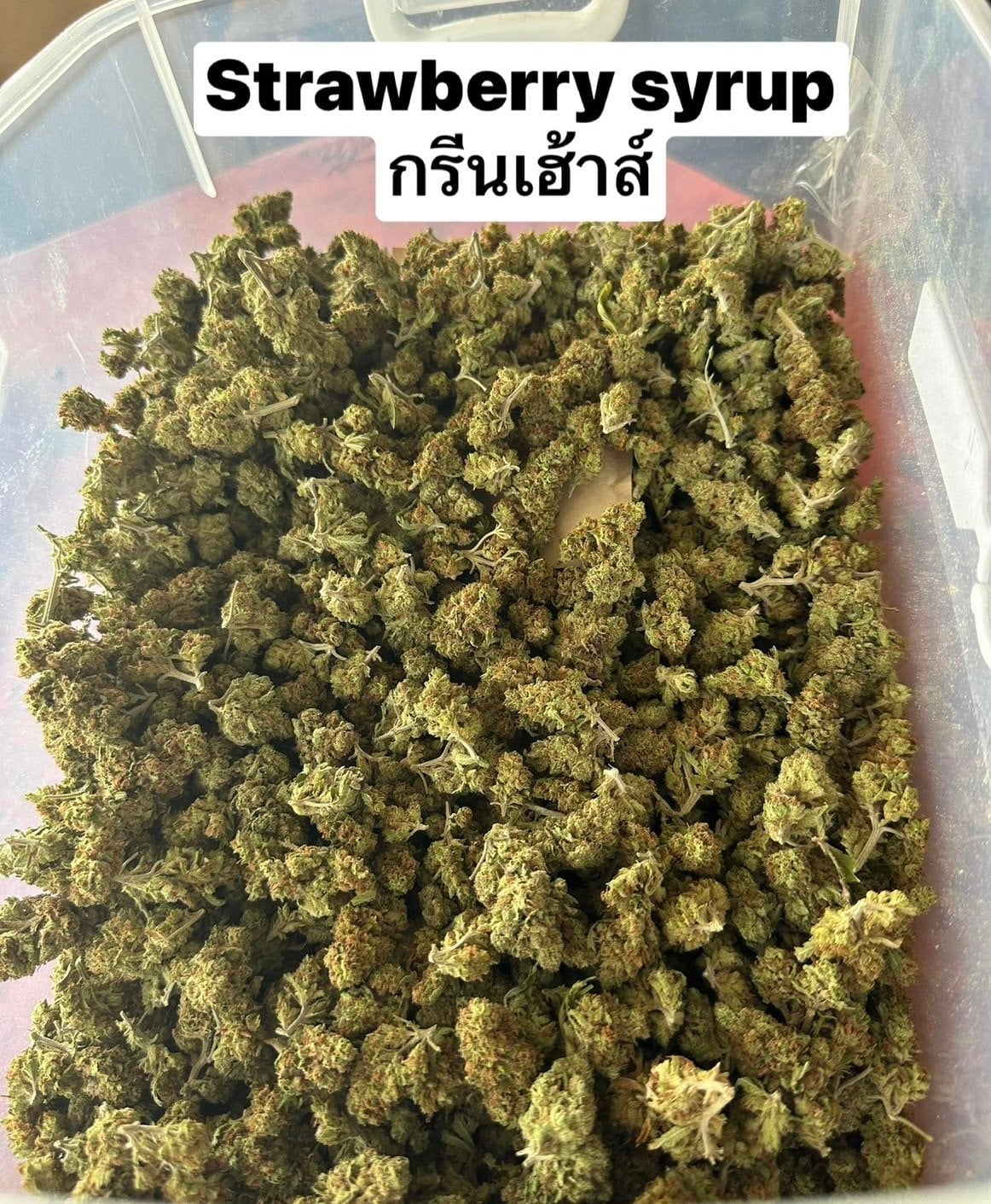 High & Roll 88 1