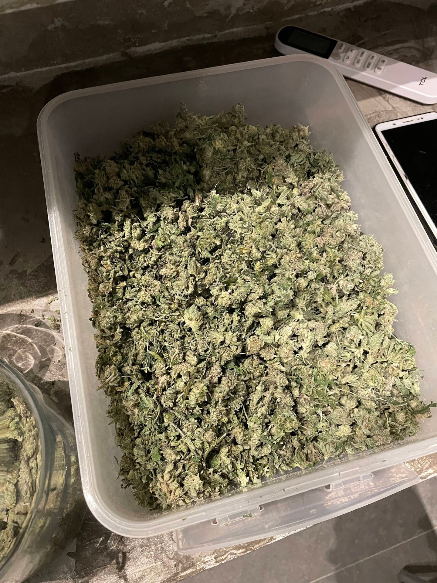 Coffee Shop Cannabis