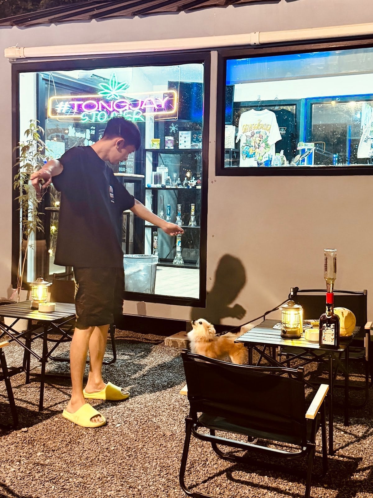 Tongjaystoner