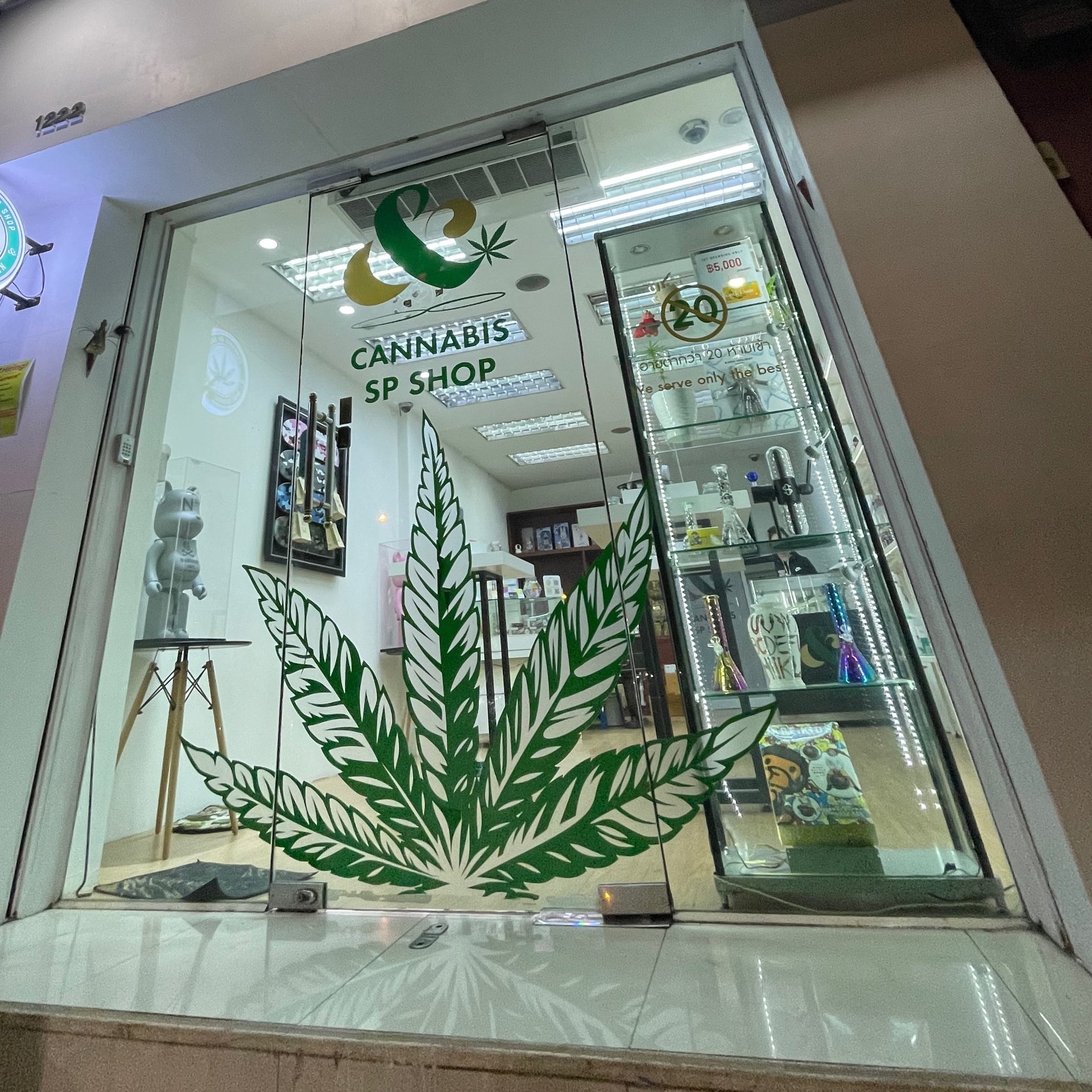 Cannabis SP
