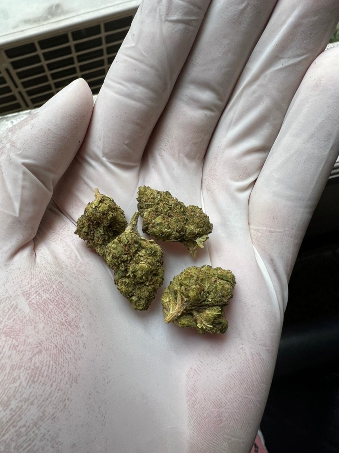All Green Cannabis Weed Shop And Delivery Bangkok