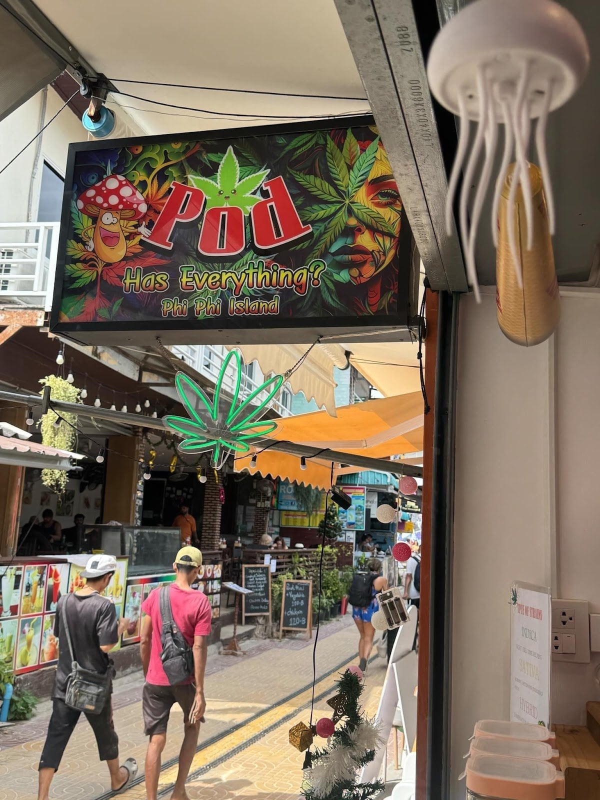 Pod Has EverythingPhi Phi Island