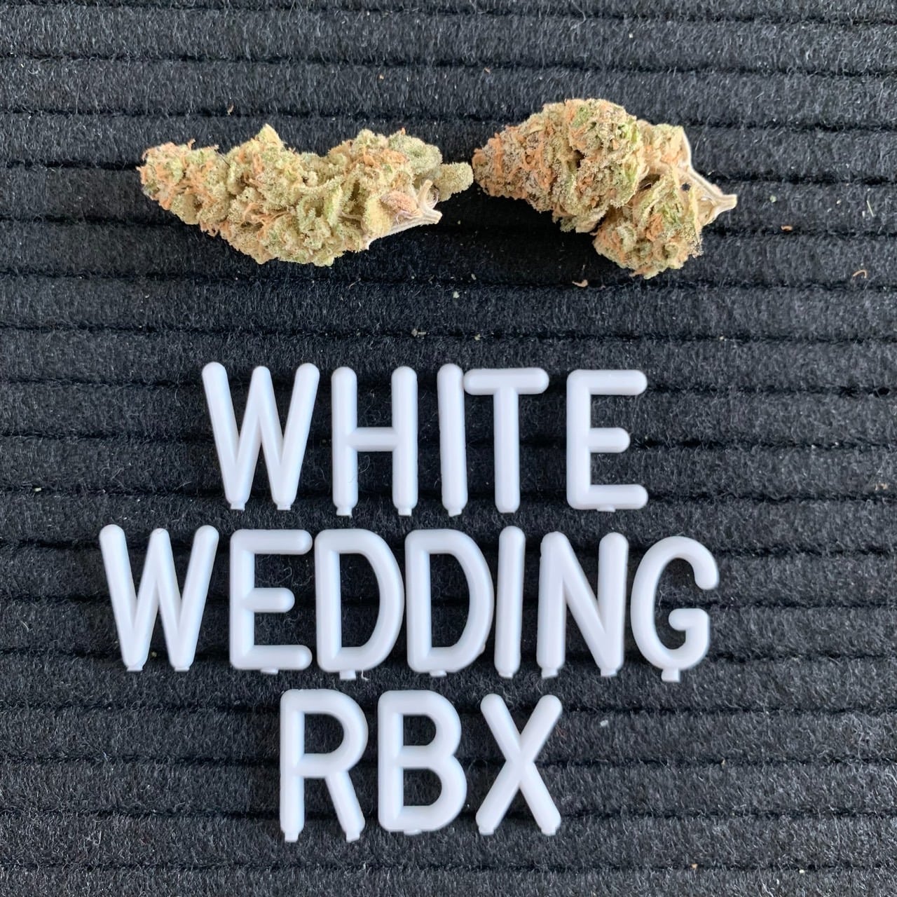 SPD Dispensary