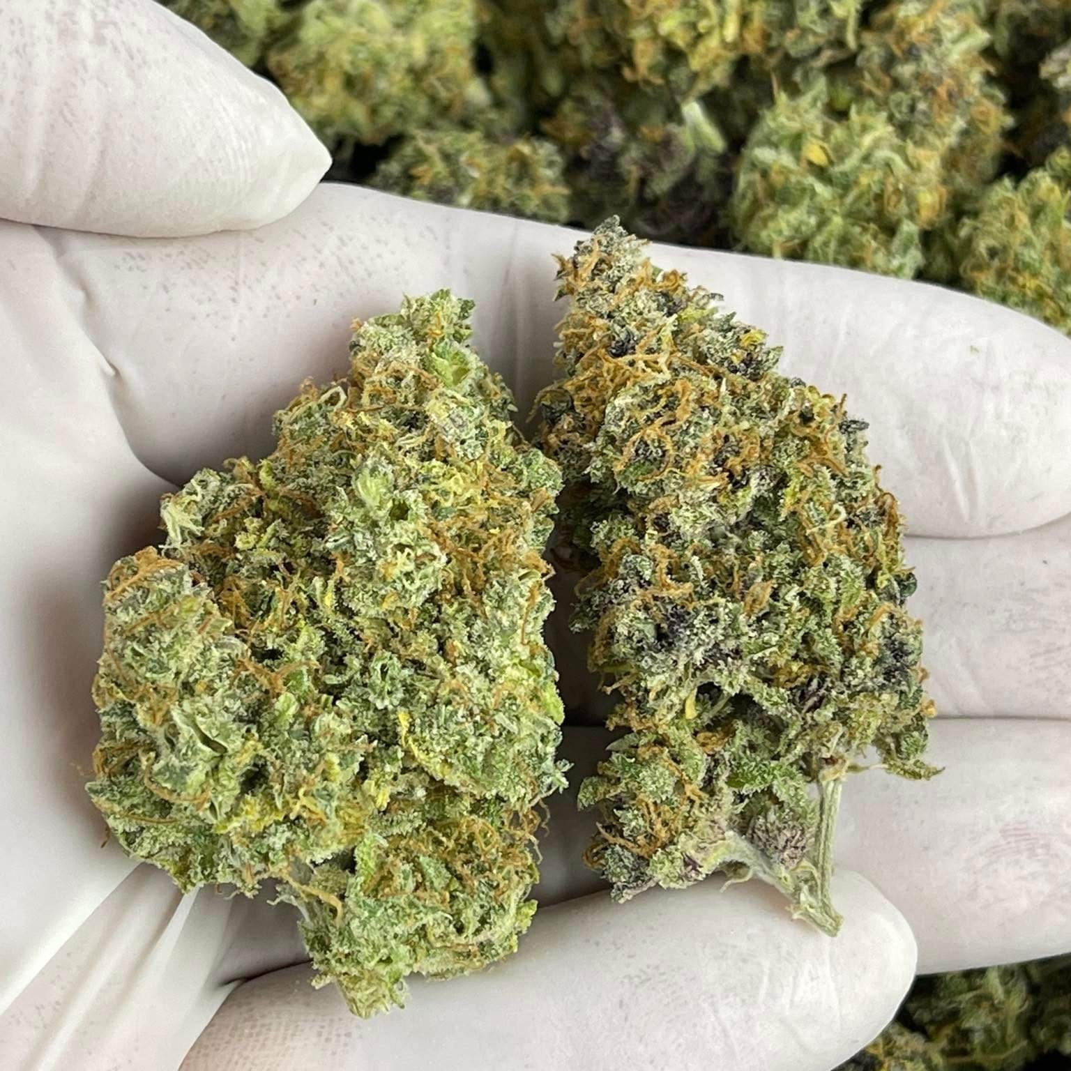 Happy Cannabis Nong Prue