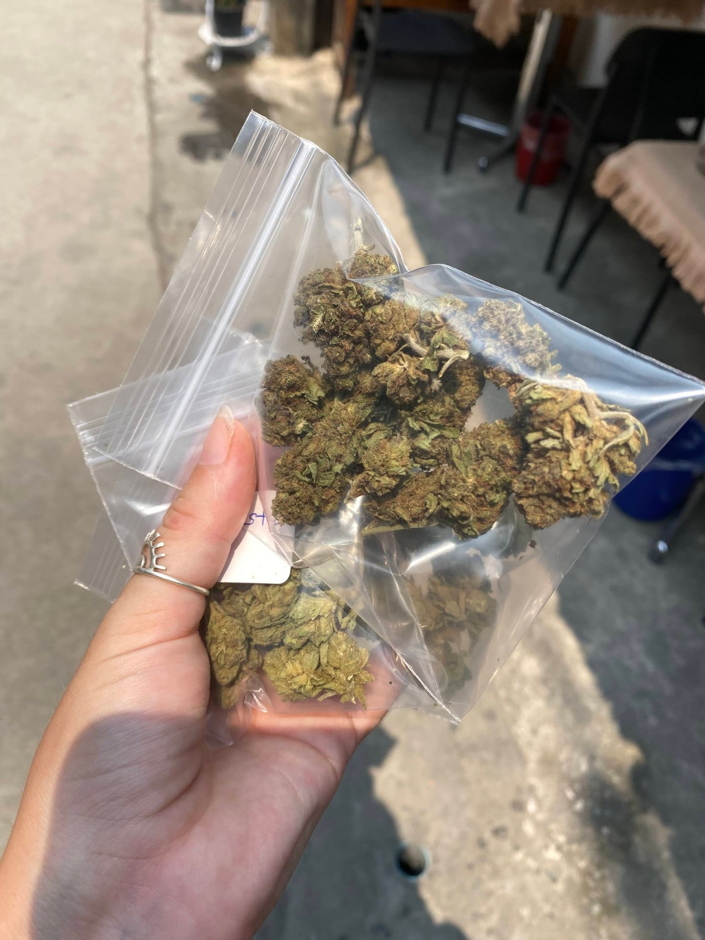 House Of Weed