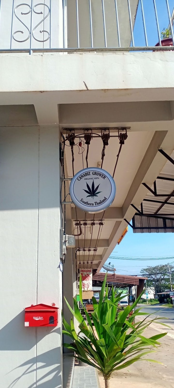 Canabiz Grower