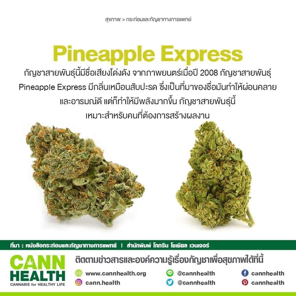 Nonthaburiの大麻ショップ 87 Cannabis ロゴ