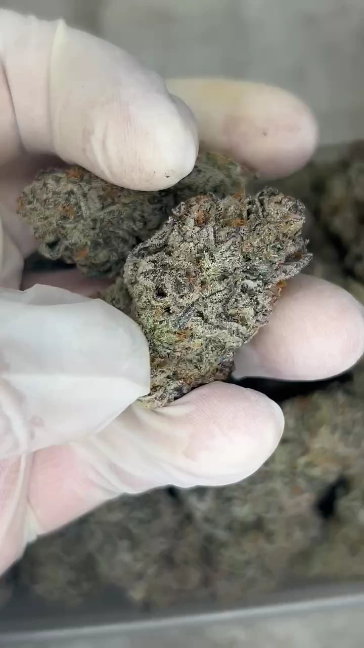 THE Hight Sweet Cannabis