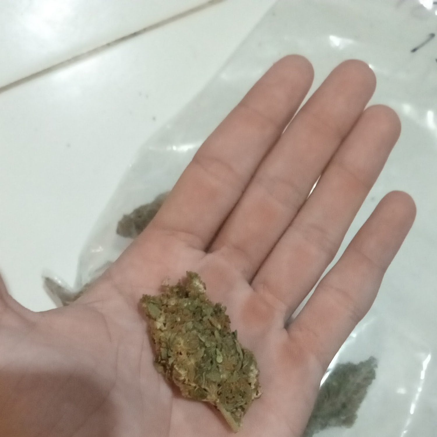 Weed House