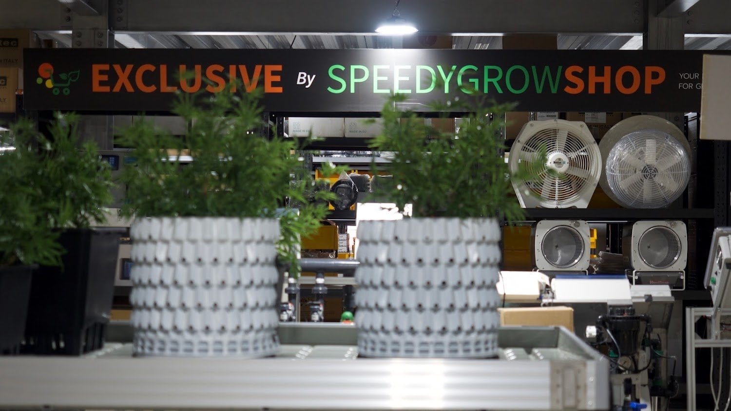Speedy Grow