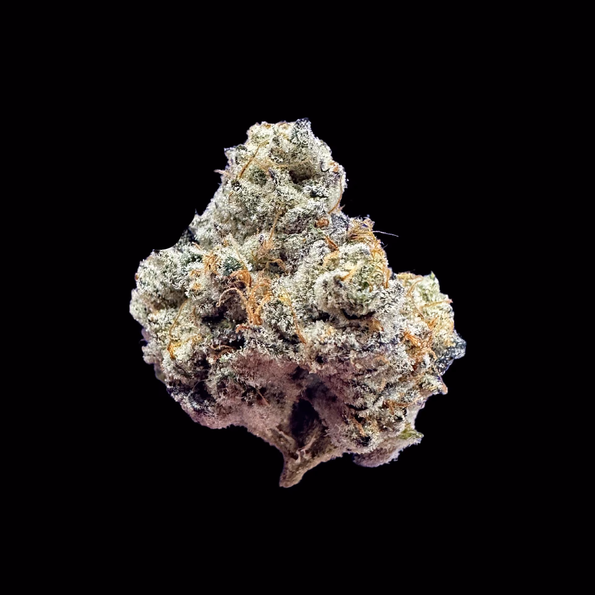 Cannabis Dispensary Wonderfarm Cannabis logo