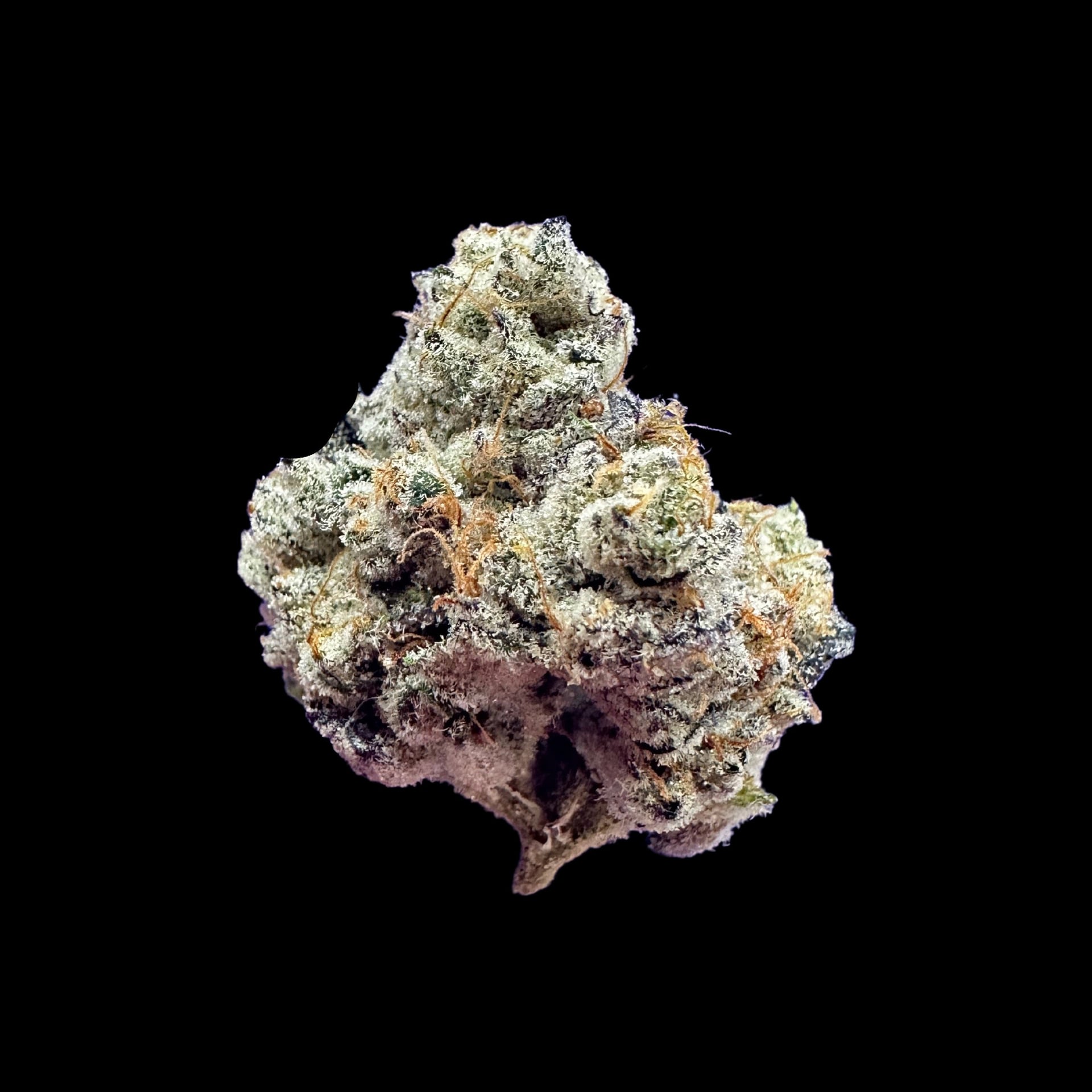 Chiang Rai的大麻店铺 Wonderfarm Cannabis 标志