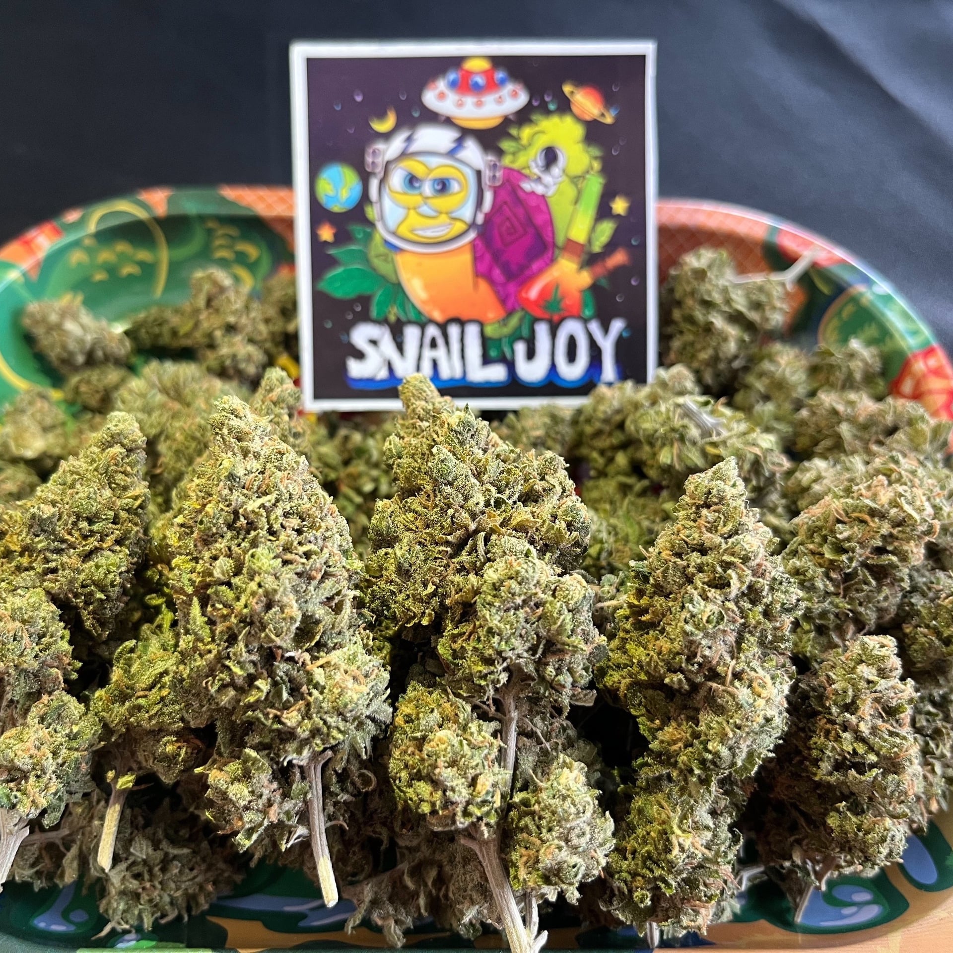 Snail Joy Cannbis