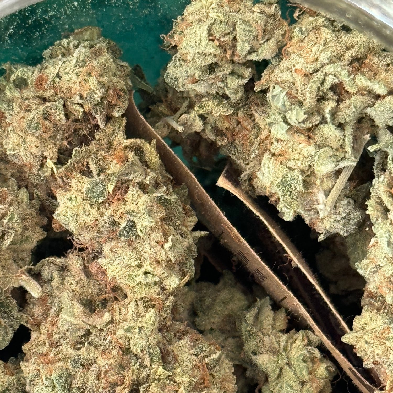 Kung Cannabis