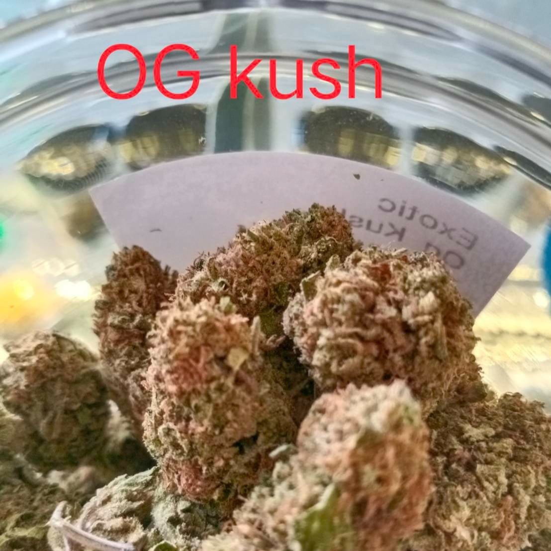 Cannabis Cafe