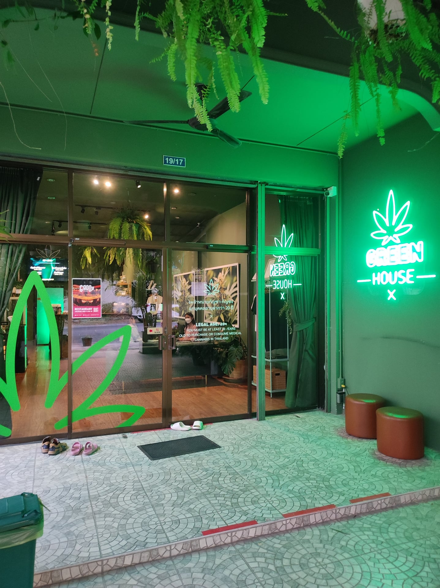 Jungle House