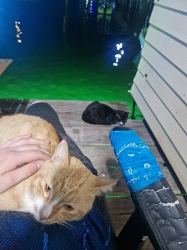 Munmaew