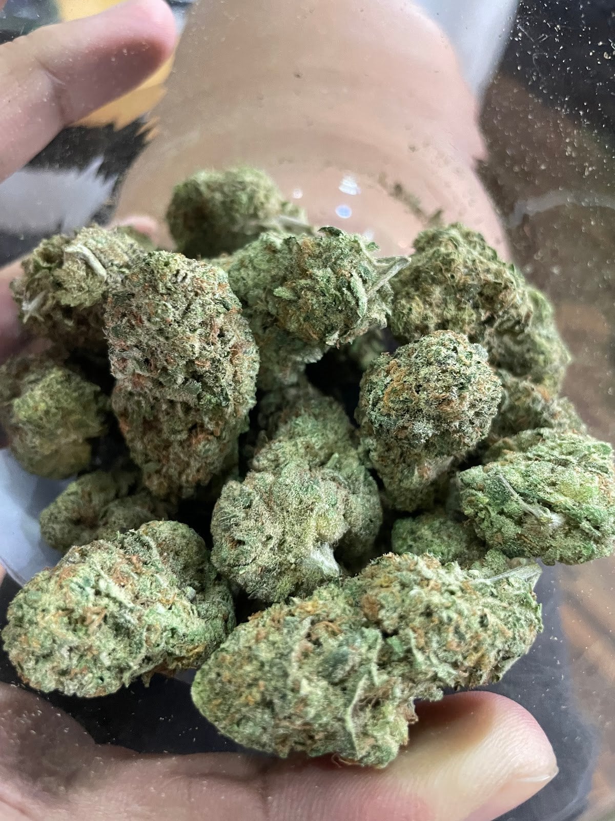 Ggwp Cannabis Pathum Wan