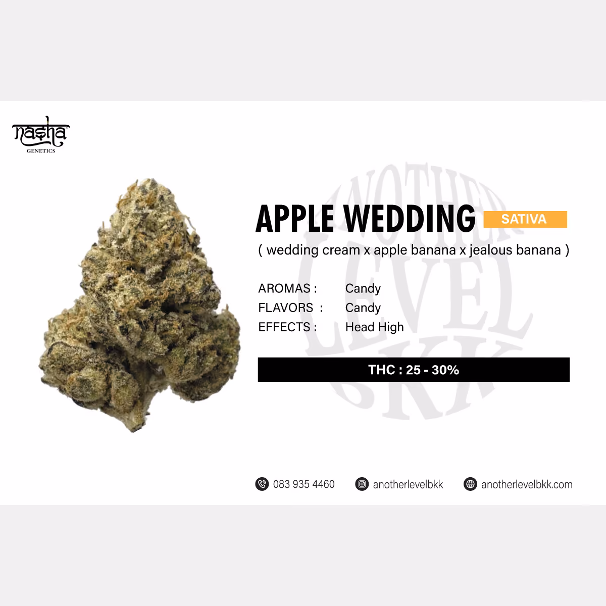 Cannabis Dispensary ANOTHERLEVELBKK logo