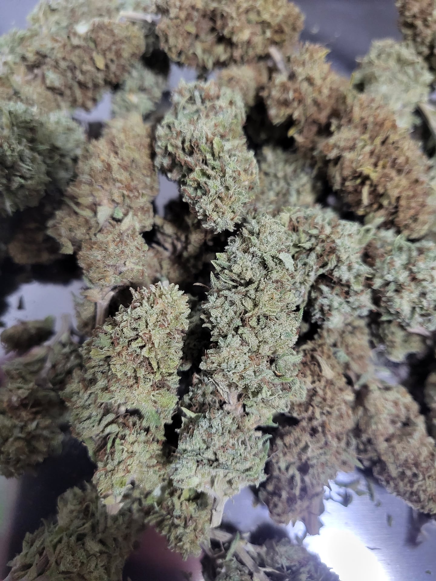 Nong Kung Weed
