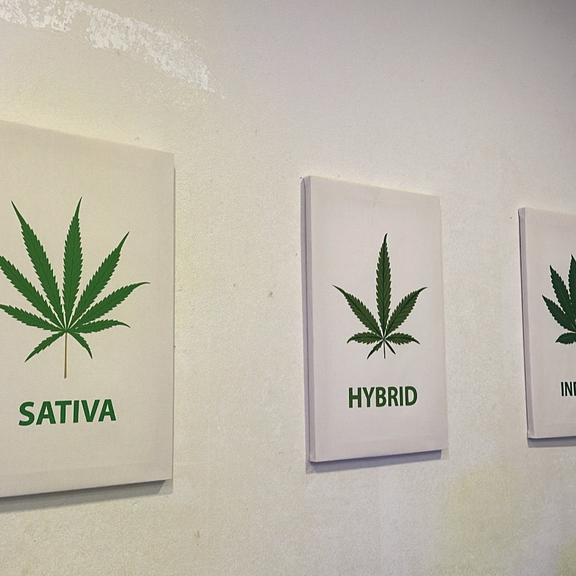 KKC Cannabis Sila