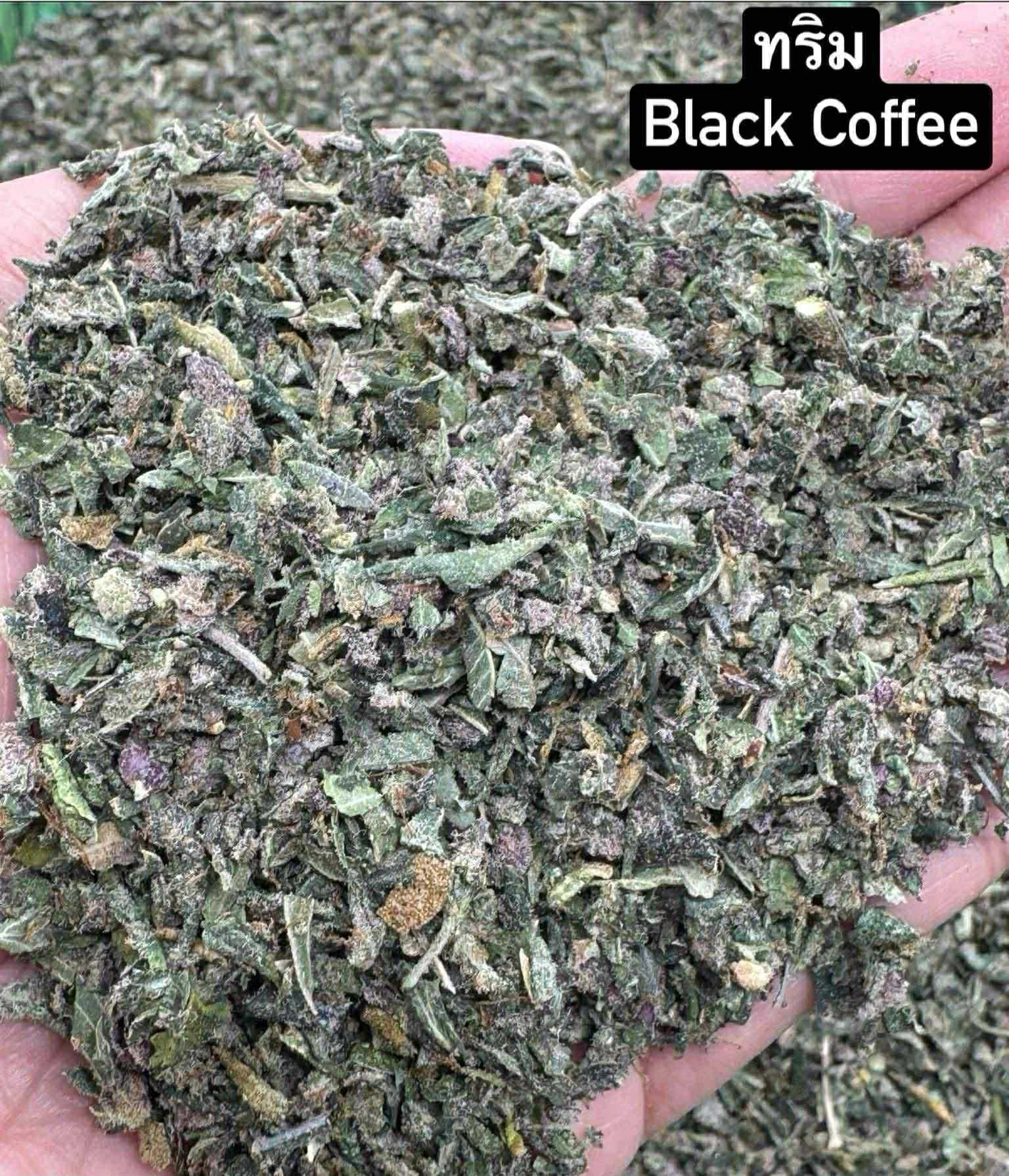 THE Hight Sweet Cannabis