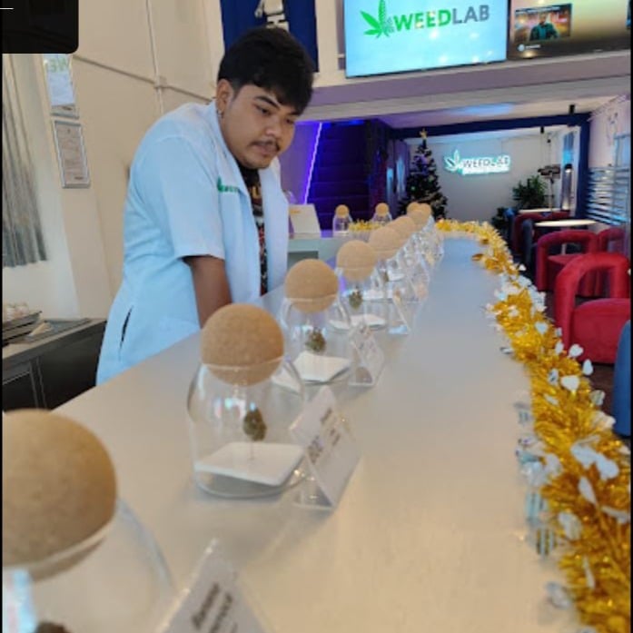 Weedlab Shop Branch No