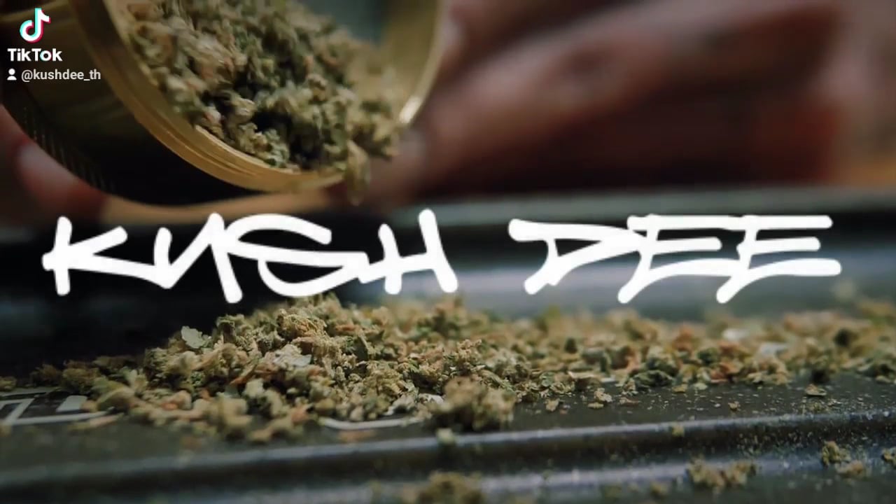 Kush Dee ~ Weed Shop Cannabis Dispensary Pattaya