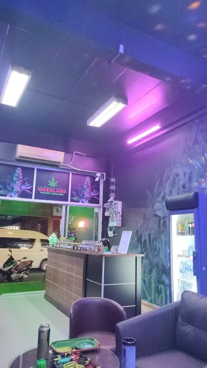 Weed Planet 77