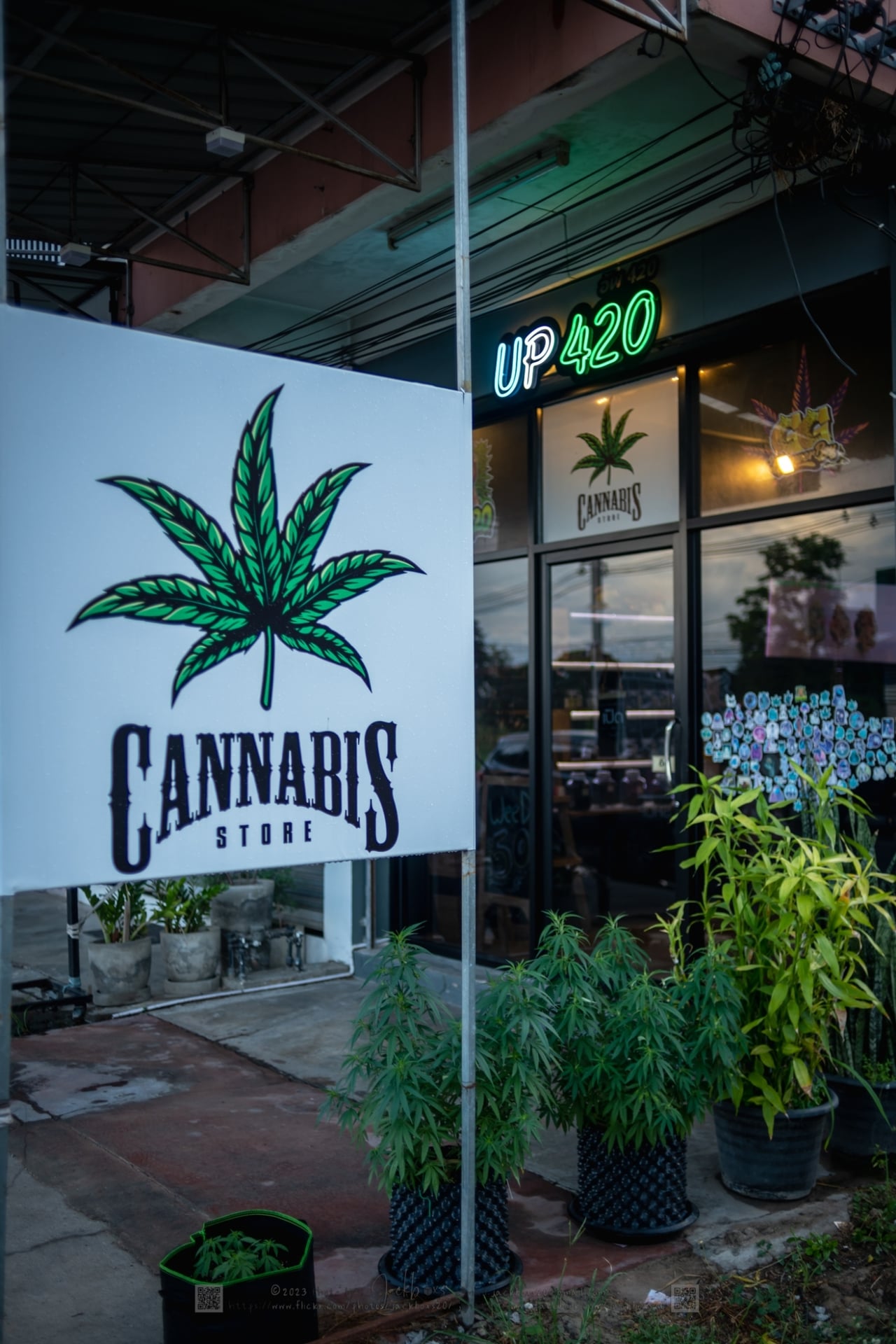 HAF CNX Cannabis L Rubbish Tattoo Gallery