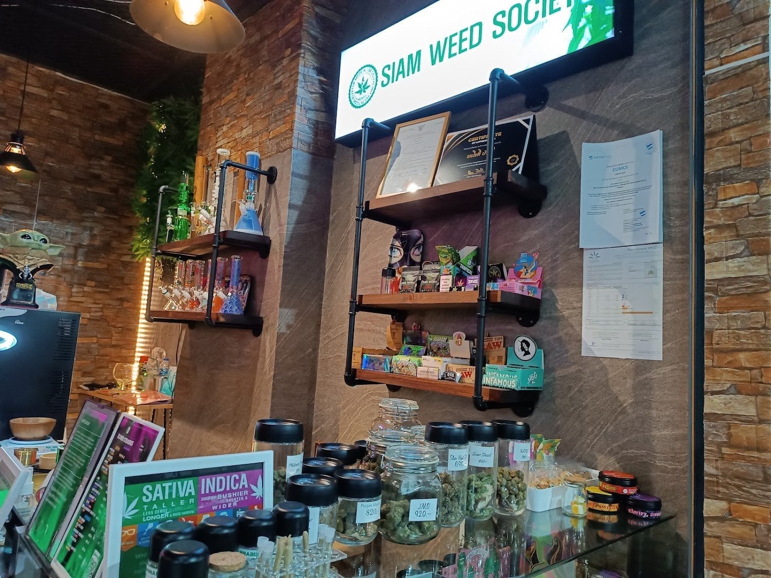 SiamweedSociety