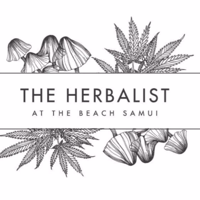 Ko Samui의 대마초 매장 The Herbalist 로고