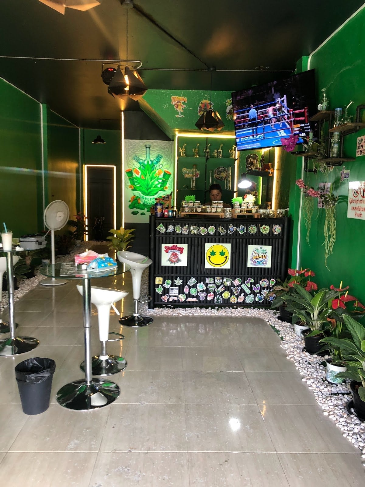 Green Bulls