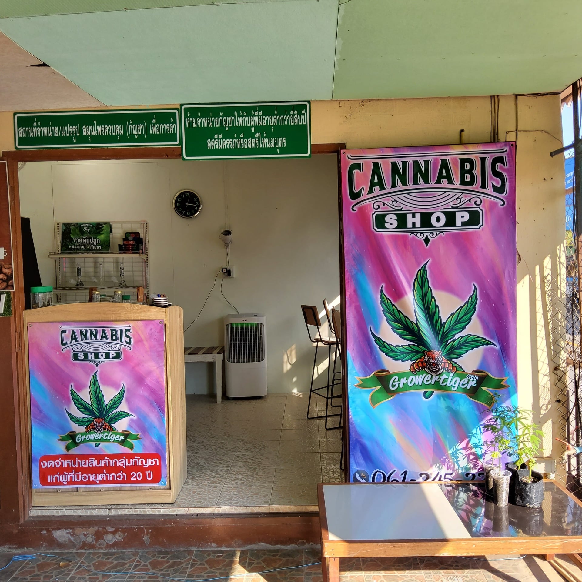 P-milk Café