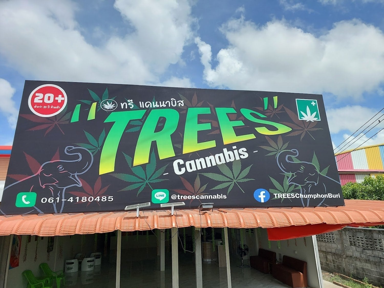 Trees Cannabis
