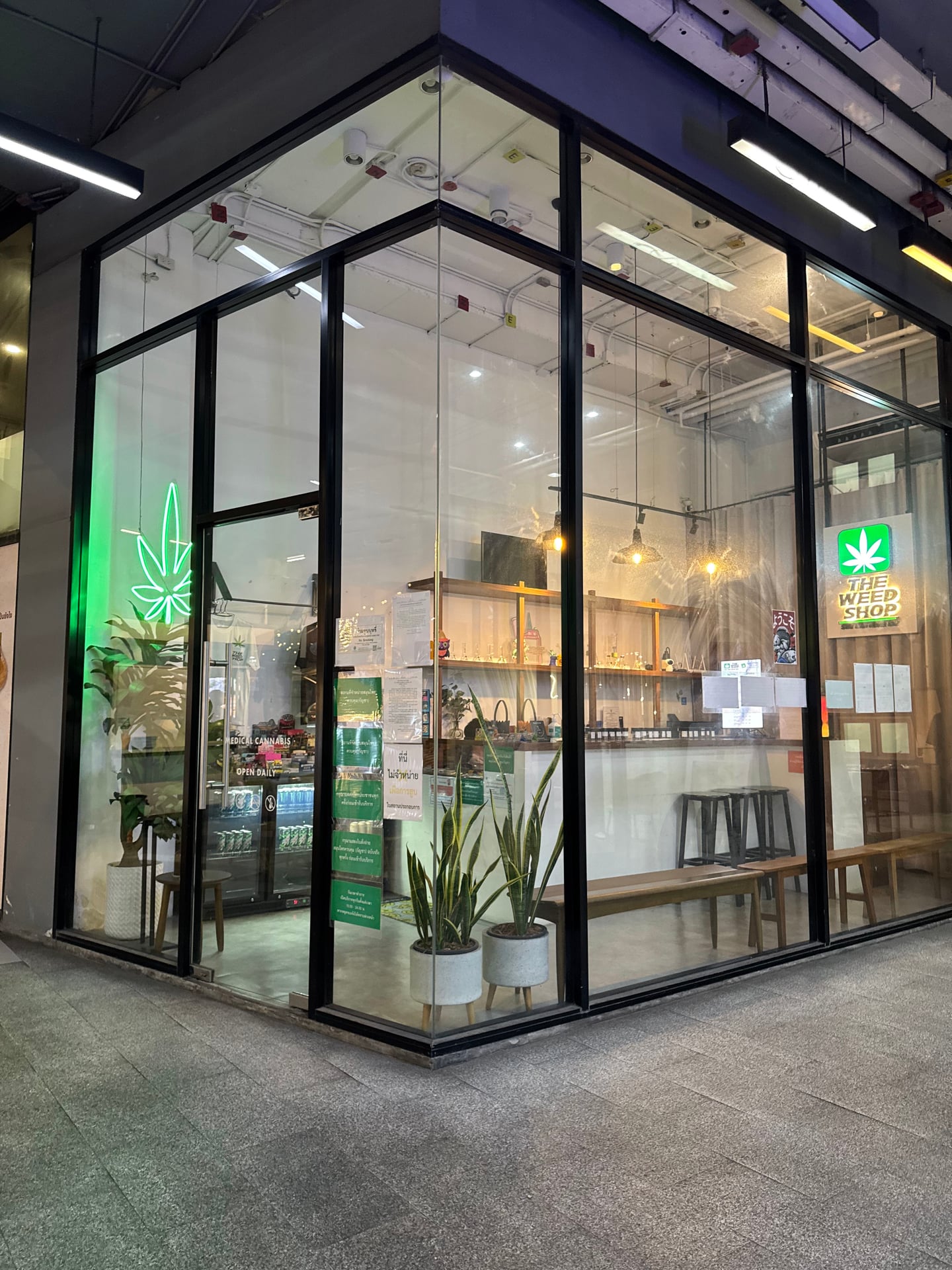 ZaZa Asia Cannabis Dispensary And