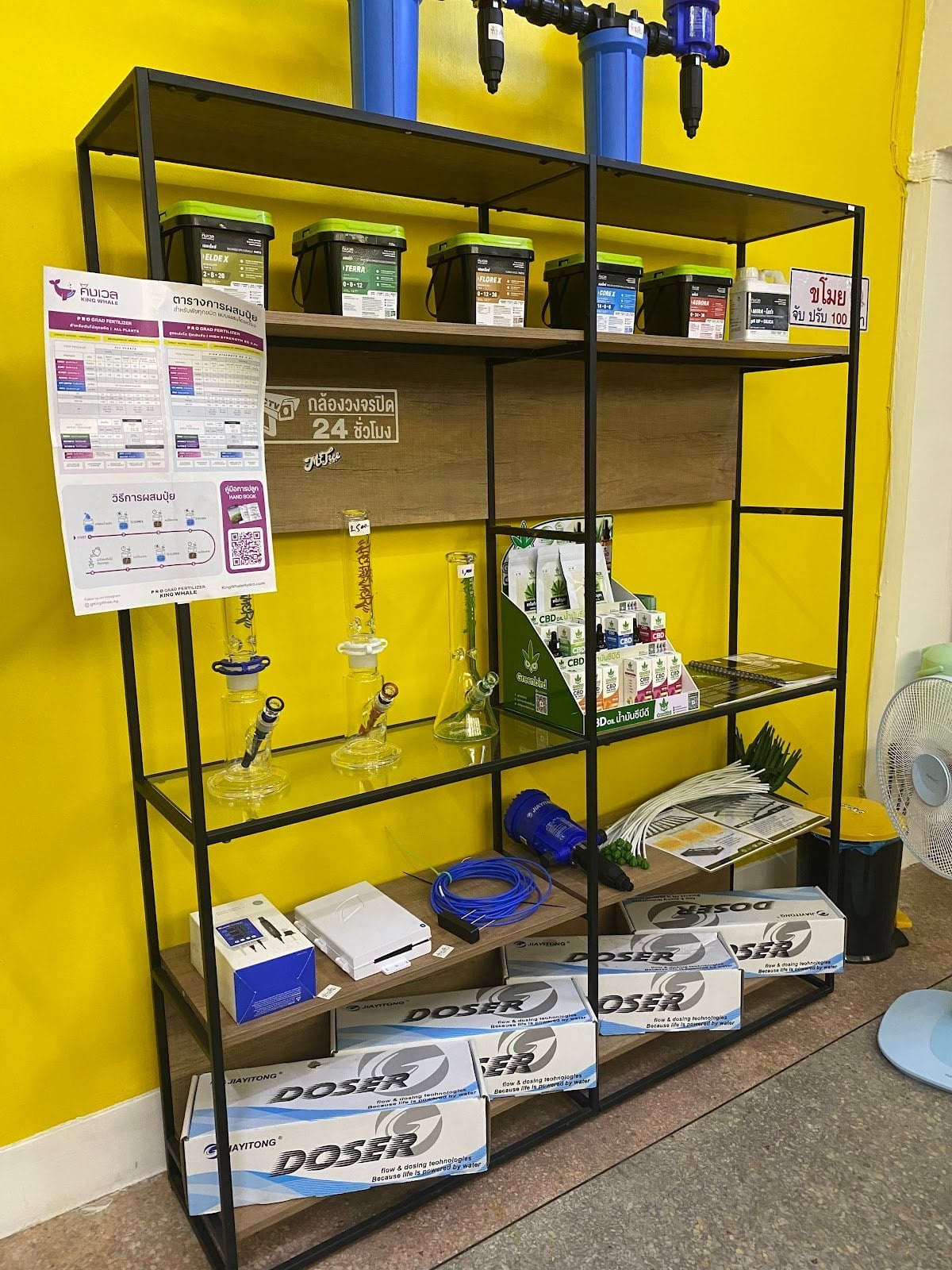 Mr.Tree CNX - Cannabis Social Club Chiang Mai