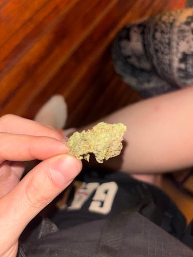 OCG - Cannabis Farm & Private