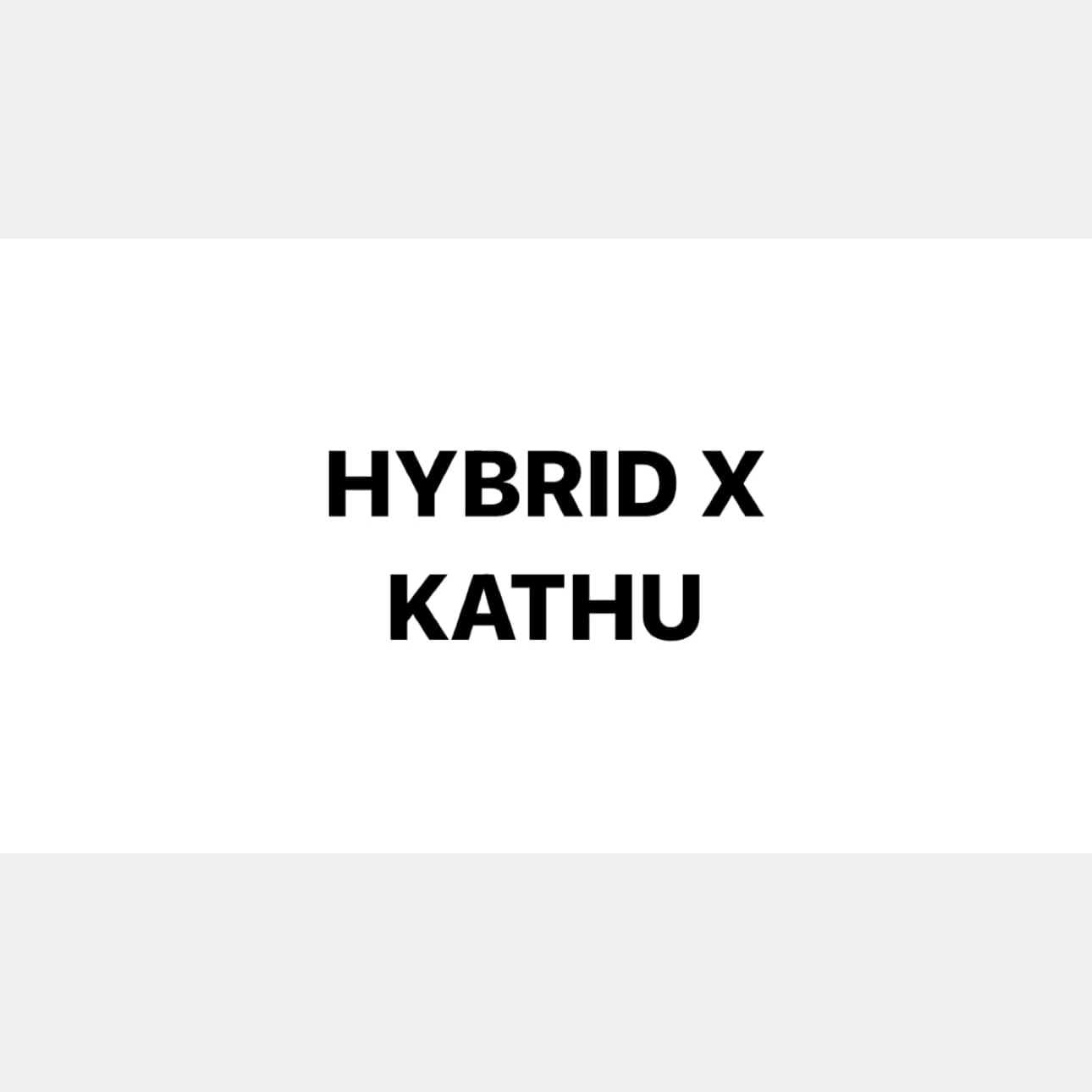 Phuket의 대마초 매장 Hybrid X 로고