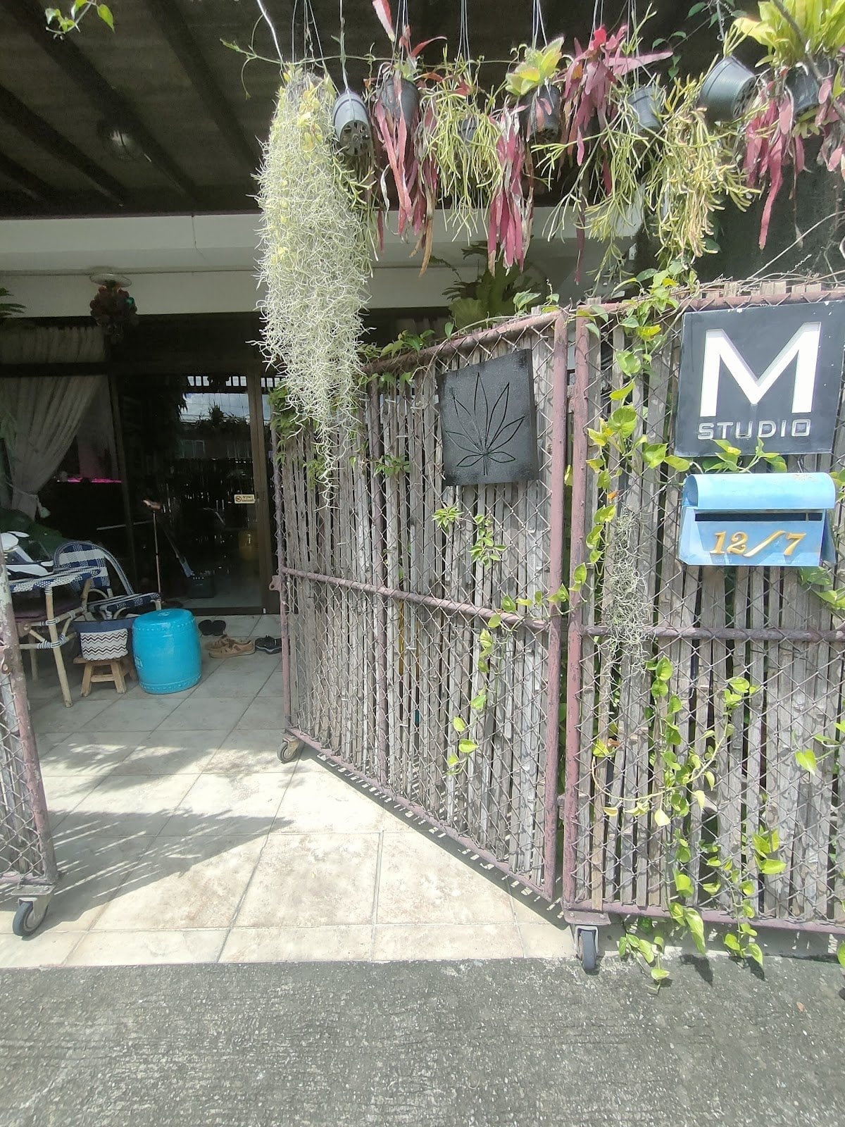 M Studio