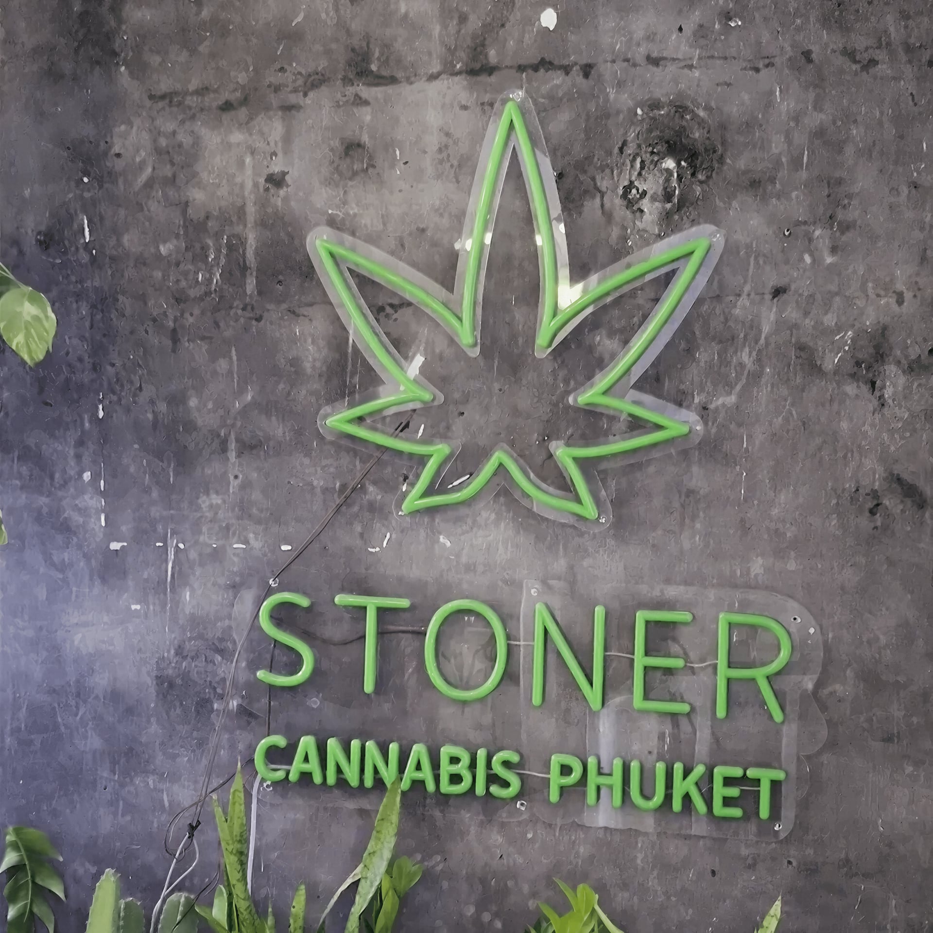 Stoner logo
