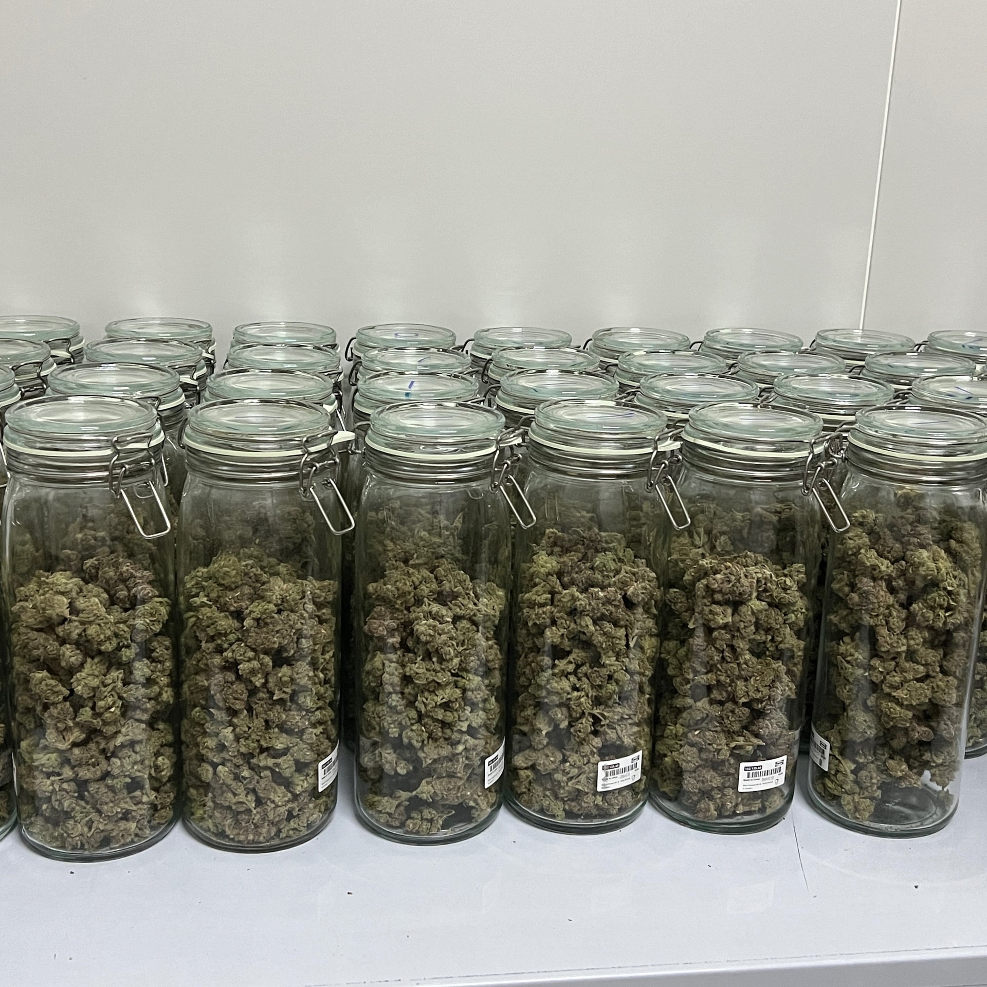 Farmtopia - Cannabis Farm & Dispensary Weed Shop Marijuana