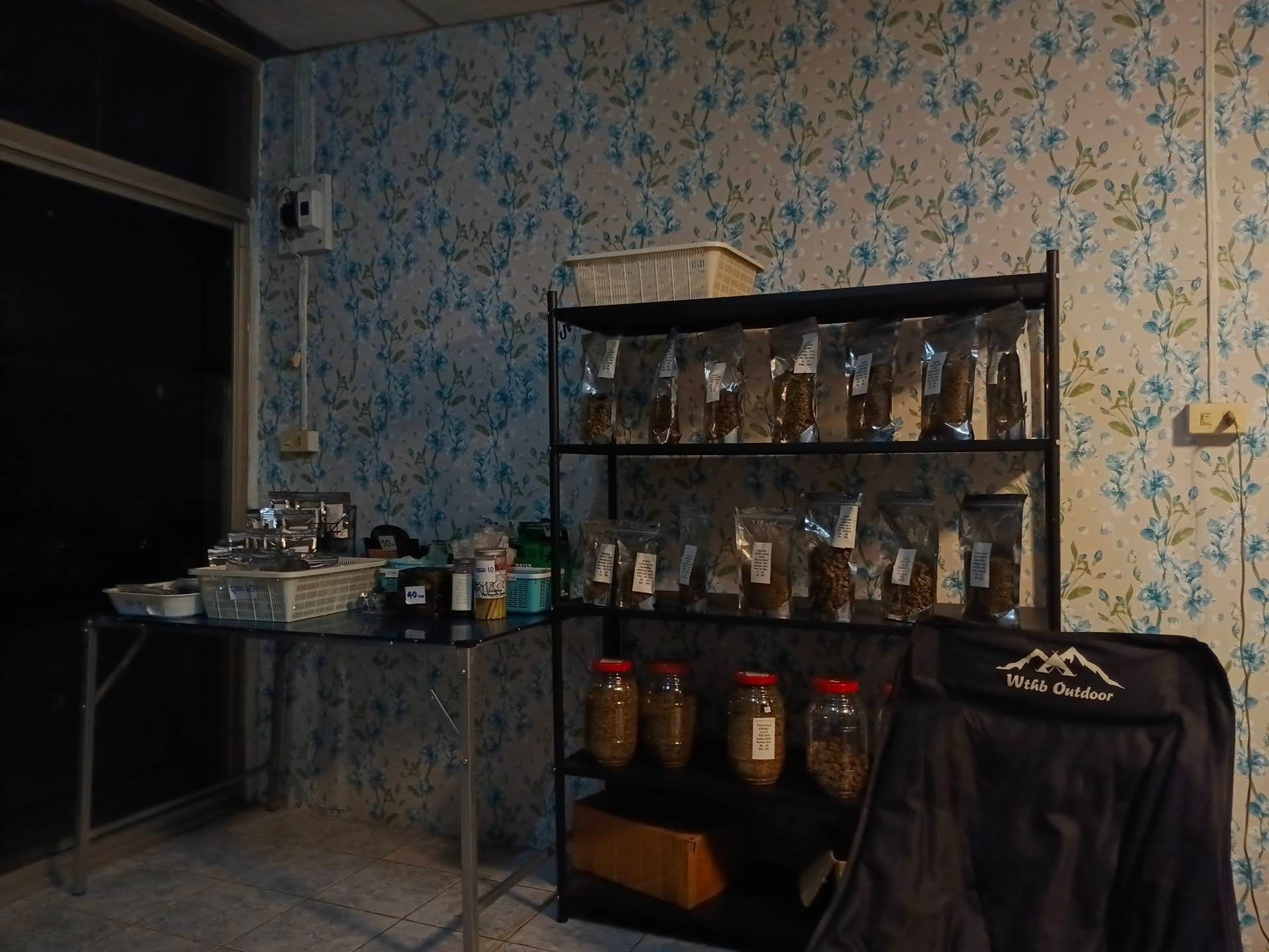 56 Cannabis By