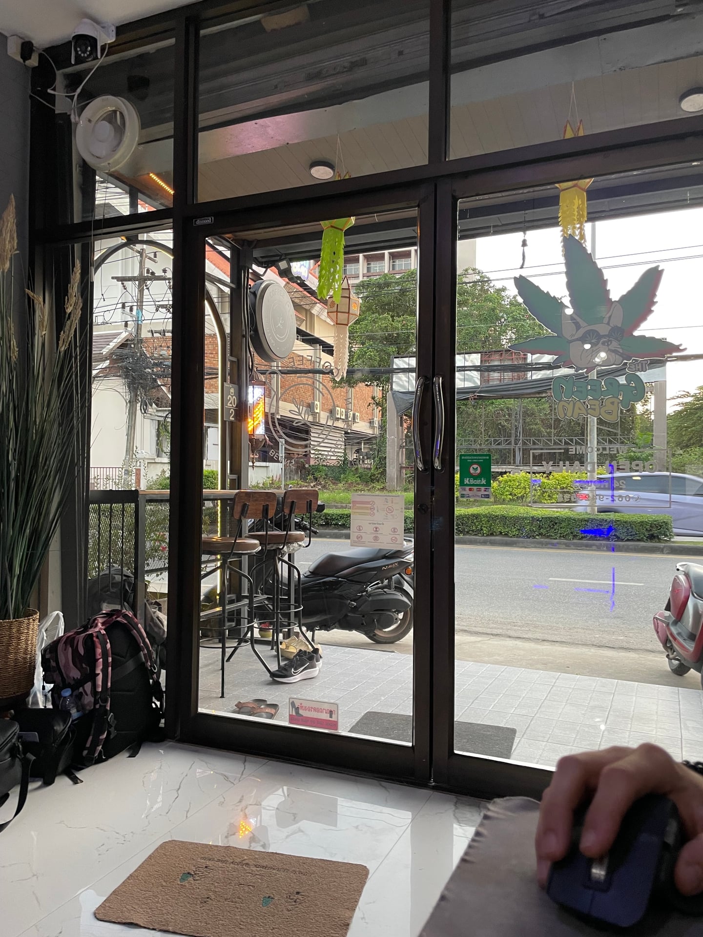 Green Bean - Cannabis Cafe