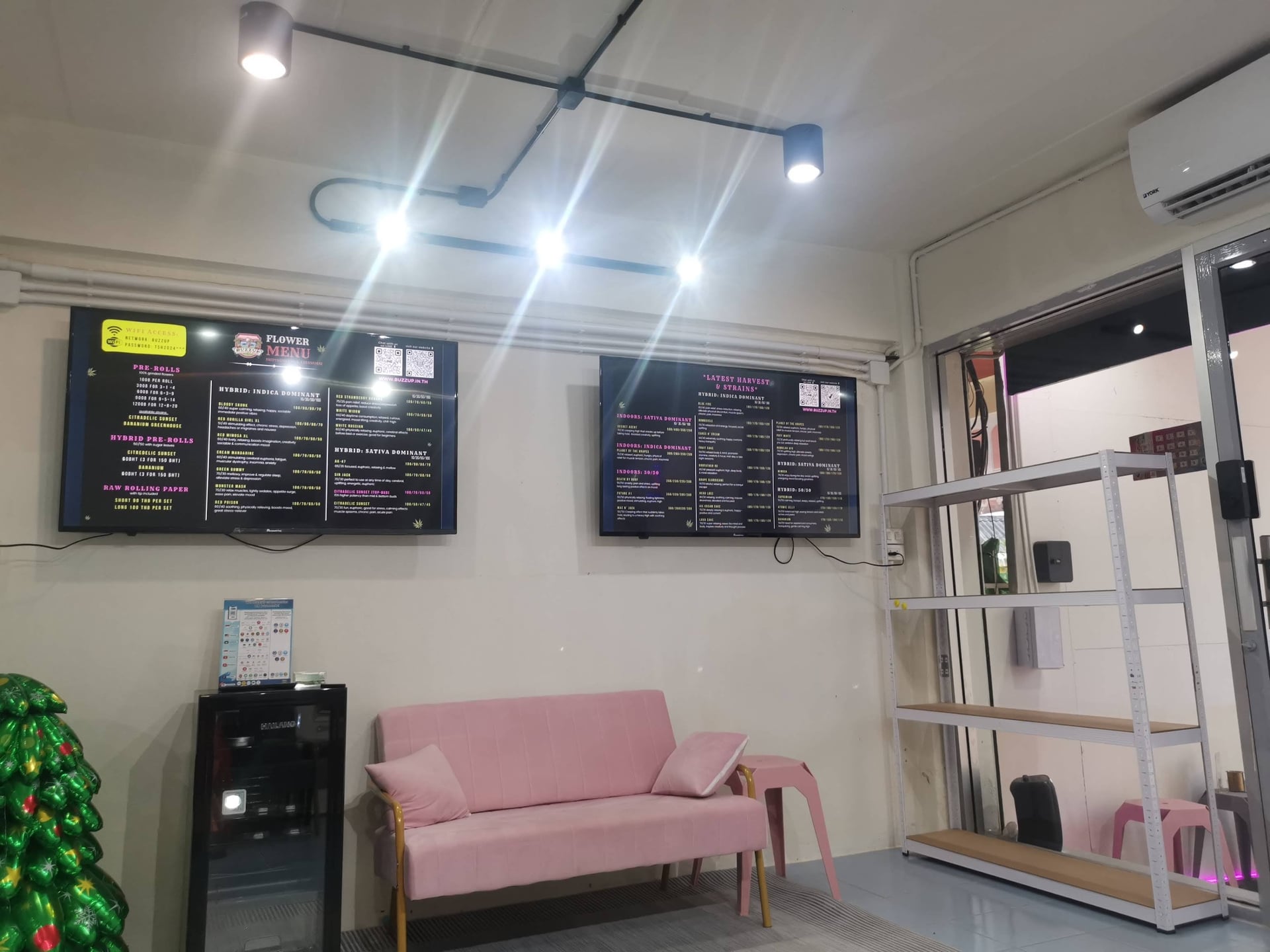 Buzzup Cannabis Shop & Guesthouse - Fang's Unique Terroir & Terpene-Rich