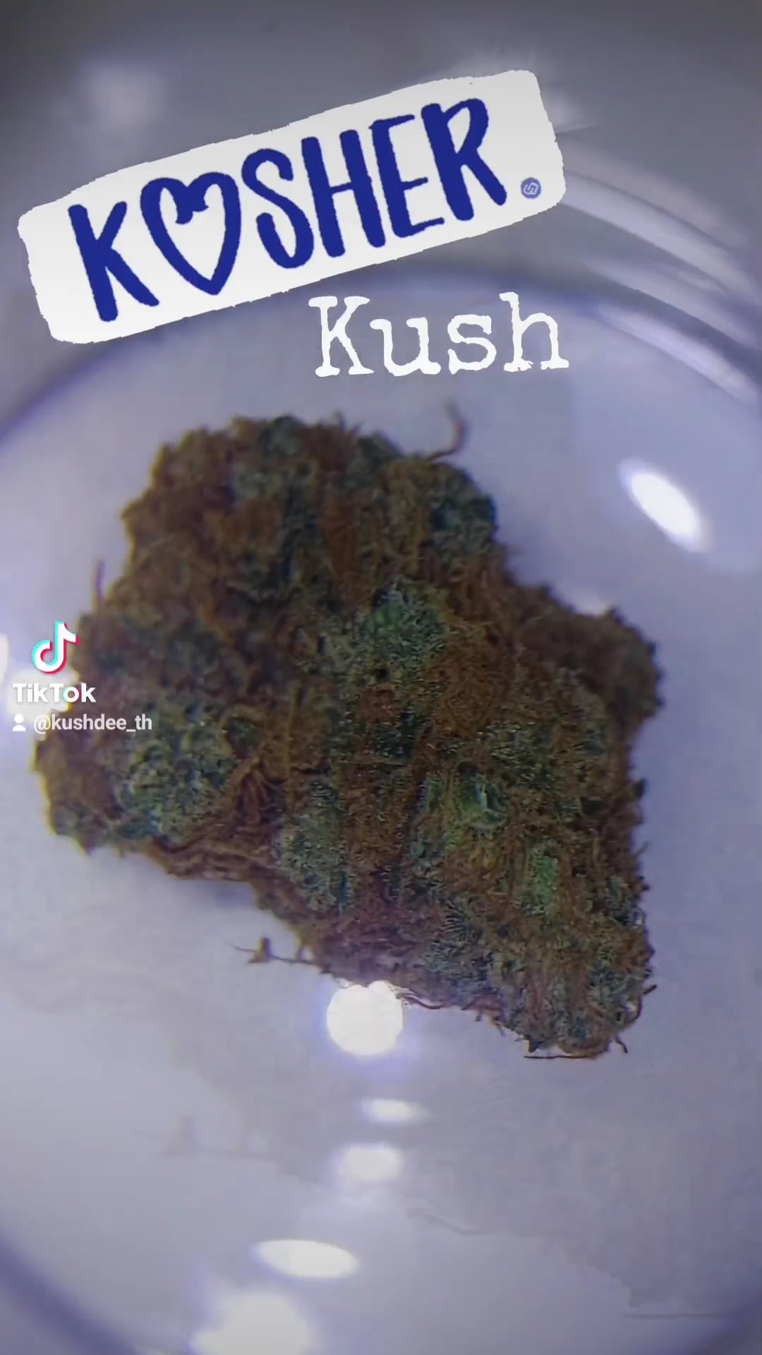 Kush Dee ~ Weed Shop Cannabis Dispensary Pattaya