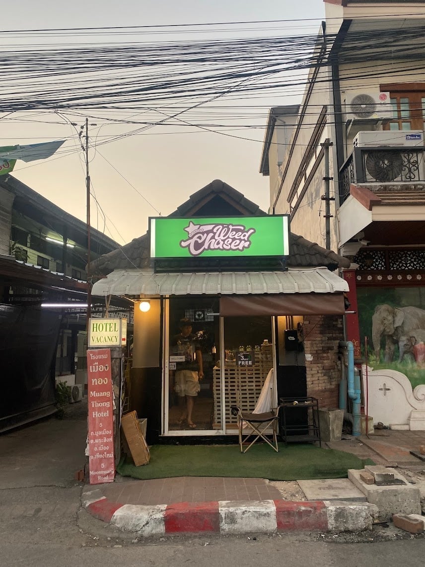 Weed Chaser - Weed Shop Cannabis Store 24Hr Thapae Gate CNX