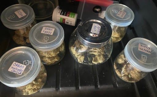 GURU 420