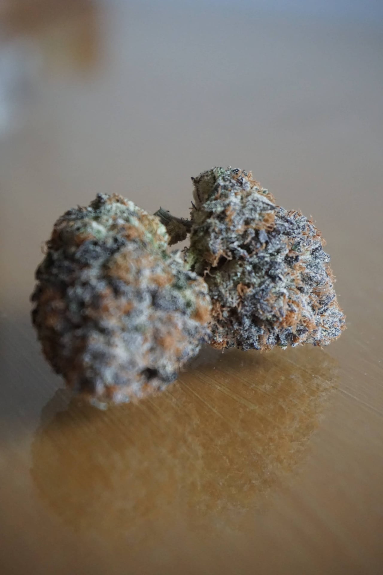Beardog Weed Delivery