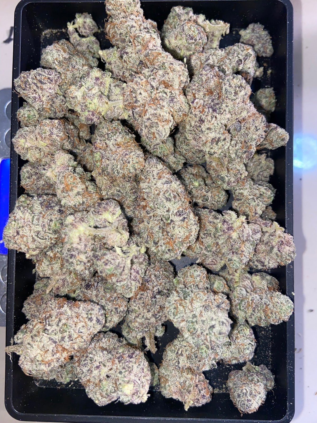 Minekush